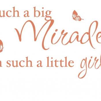 Big Miracle Vinyl Decal UK Seller